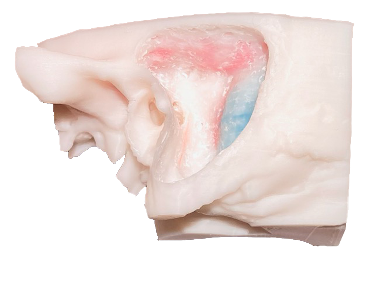 Virtual Ear Home - The Visible Ear Simulator